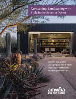 Xeriscaping: Landscaping With Style In the Arizona Desert book cover