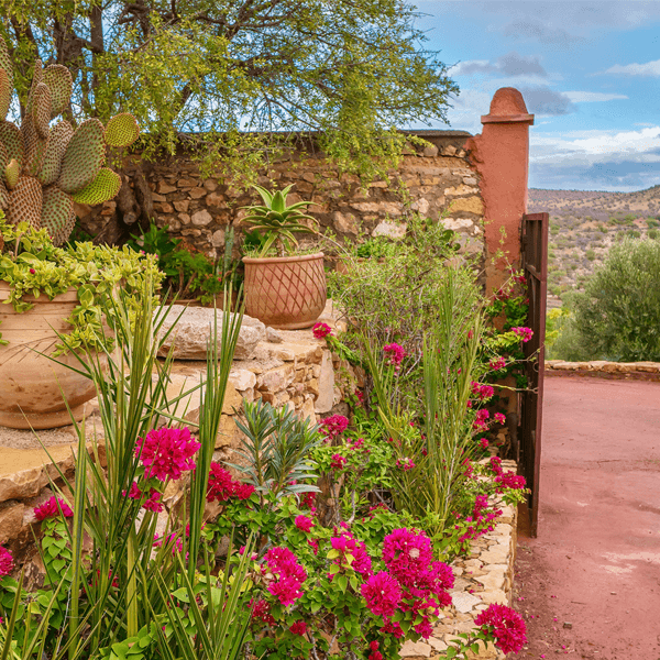 Conservation and Efficiency