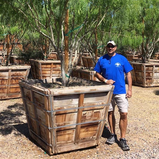 Professional Resources