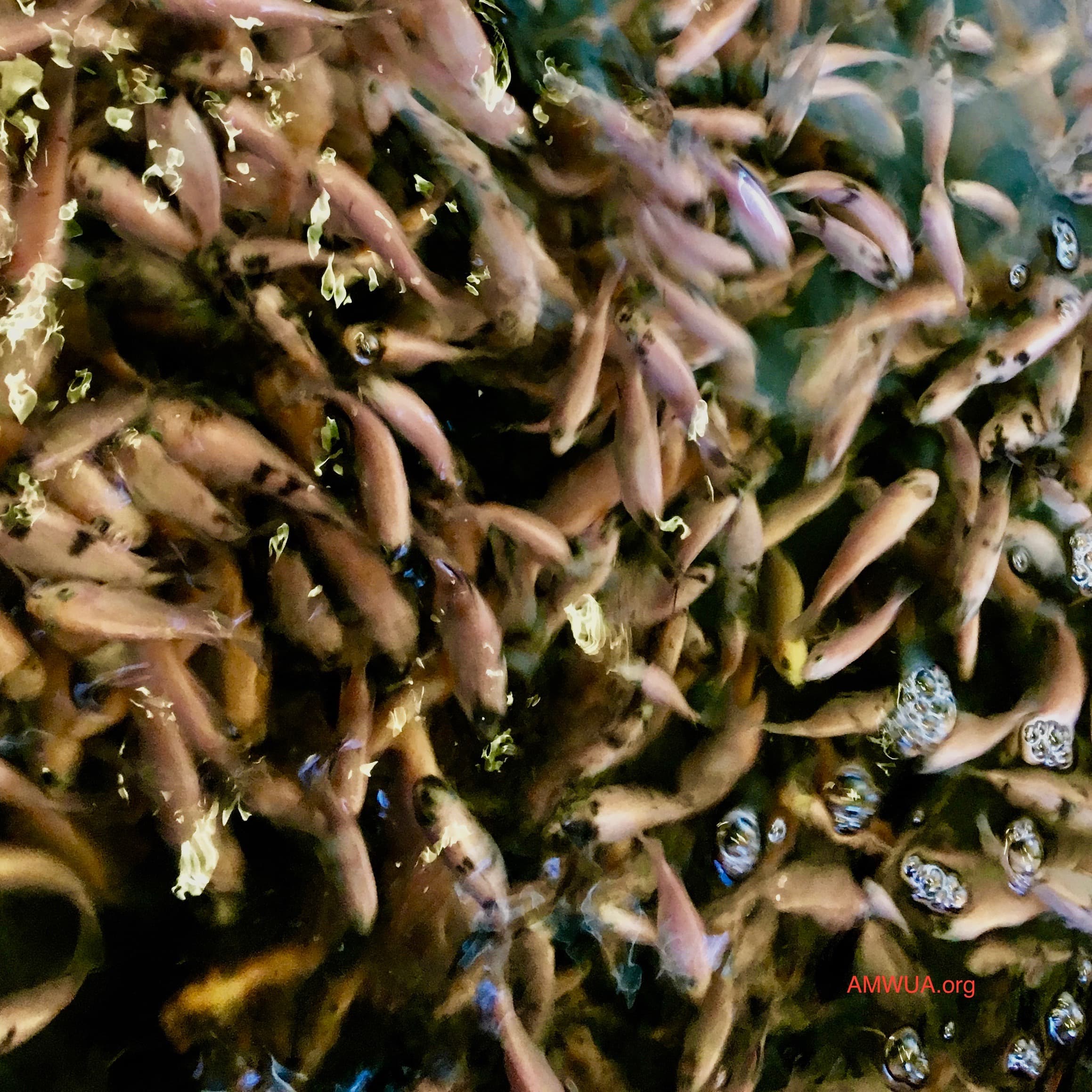 Blog Image Sample