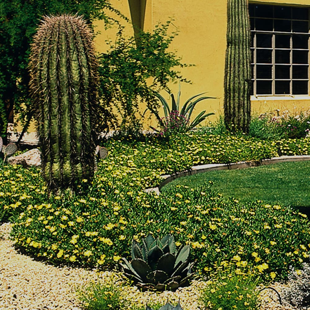 Blog Image Sample