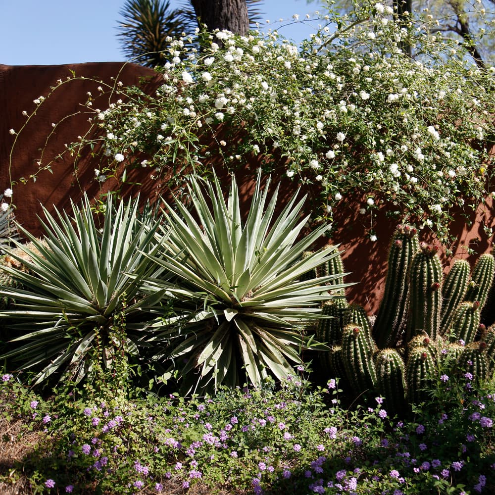 Blog Image Sample