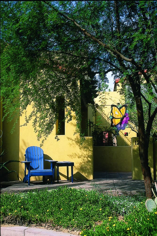 Xeriscape