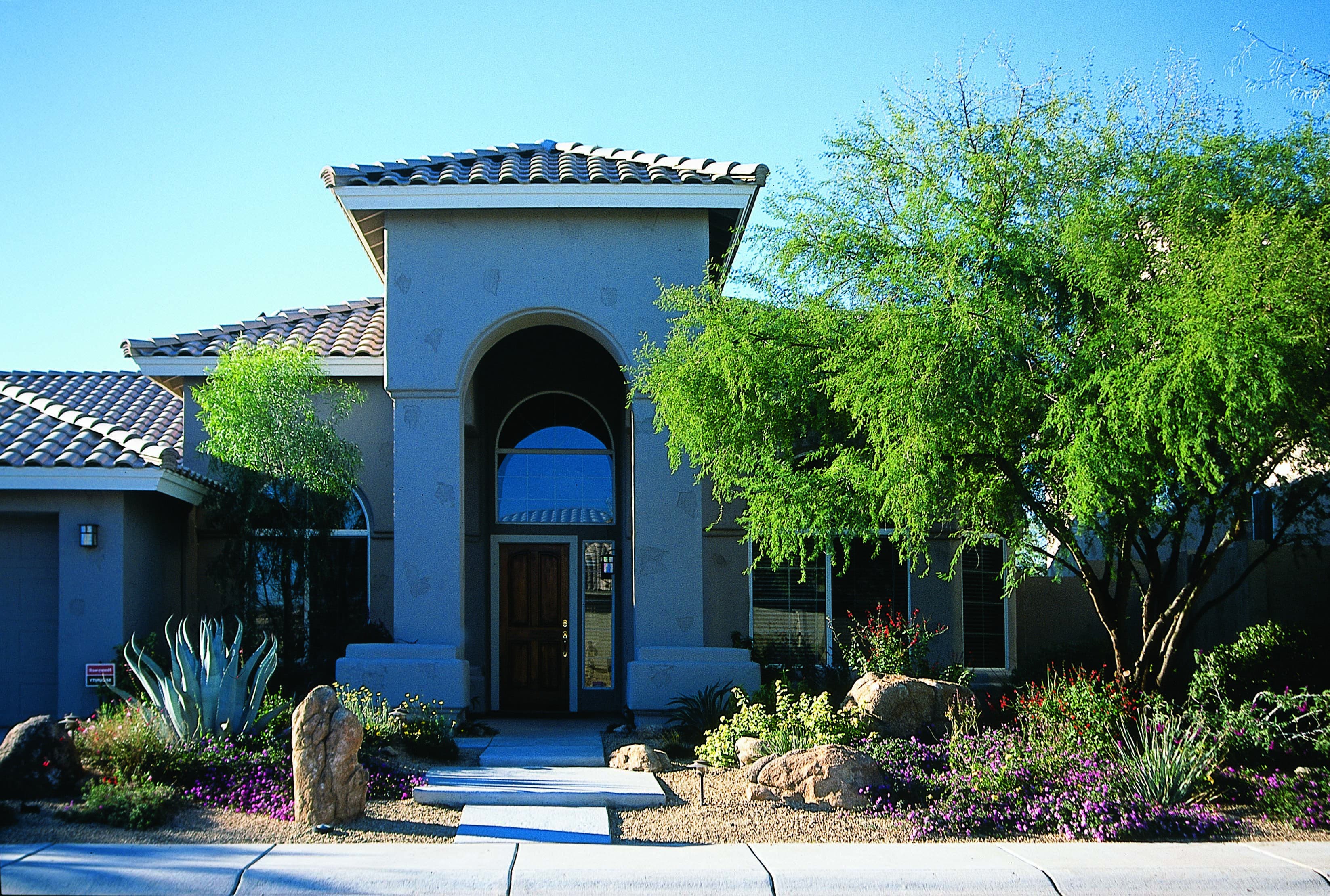 Front yard desert landscaping 