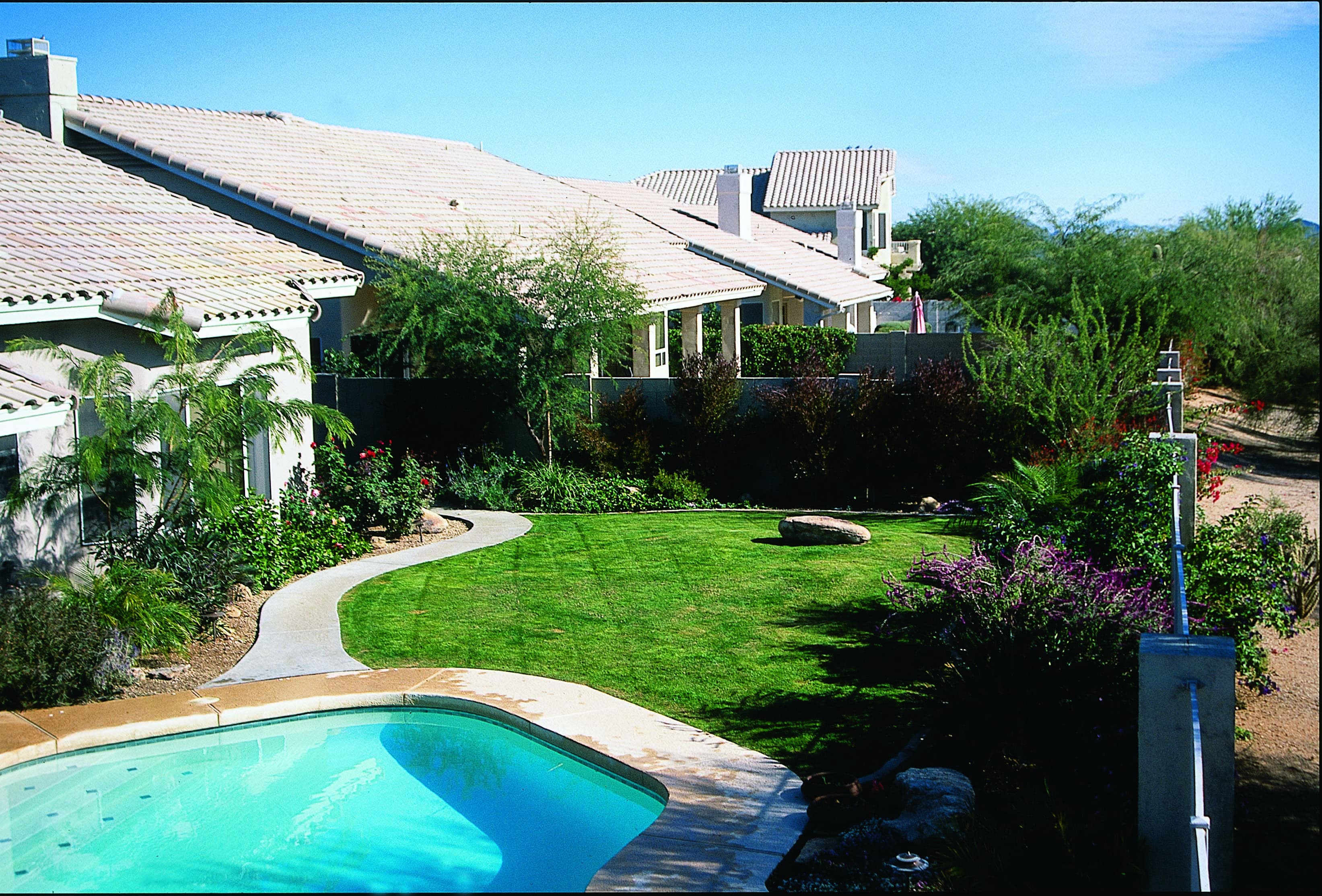 Backyard landscaping 
