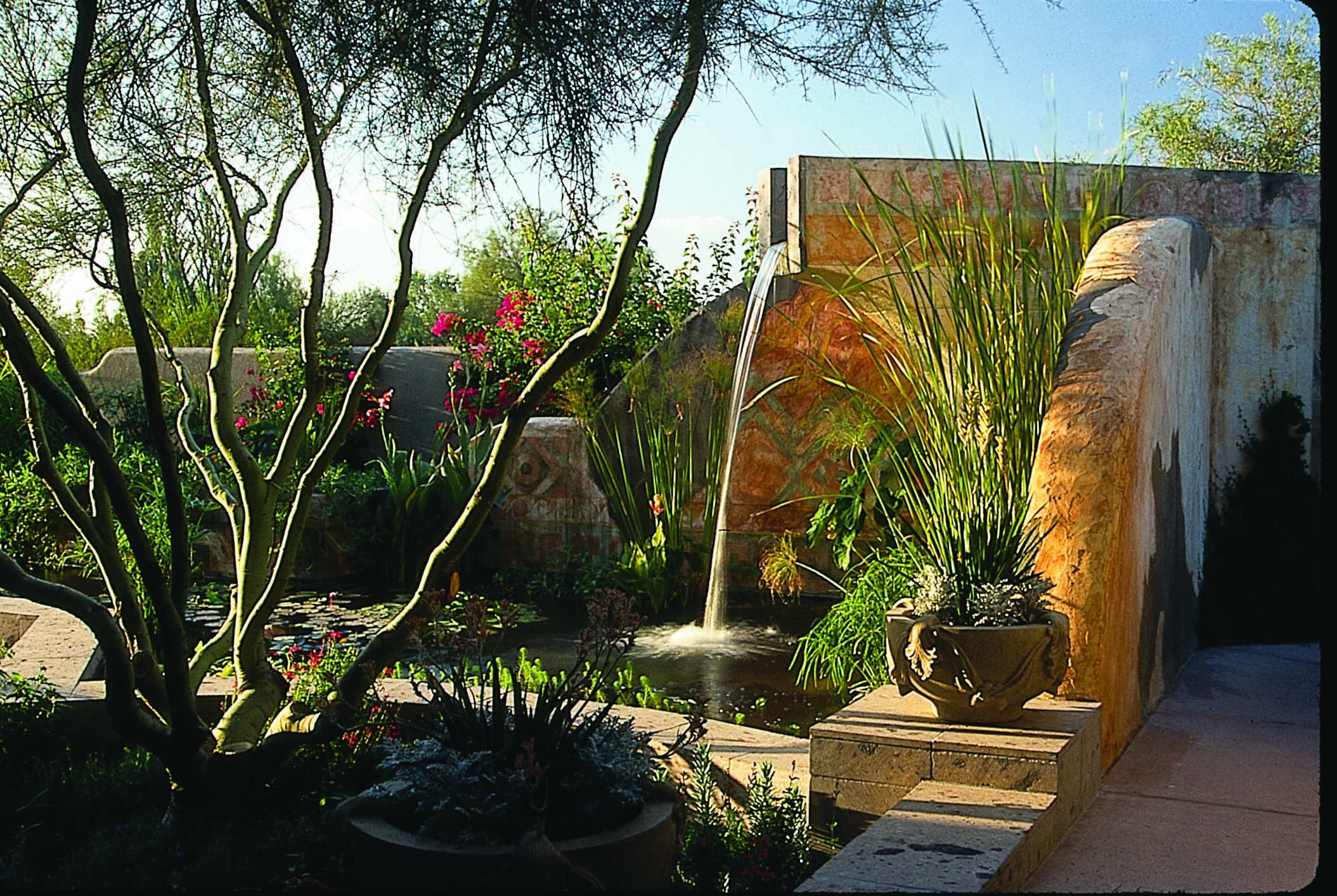 Waterfall with desert plants