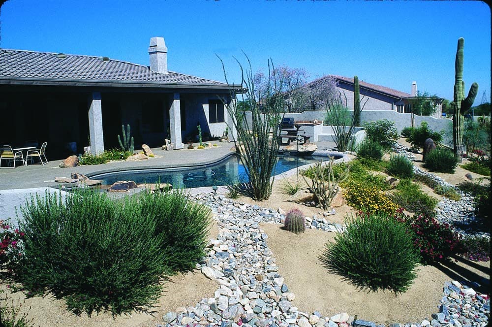 Backyard xeriscape 