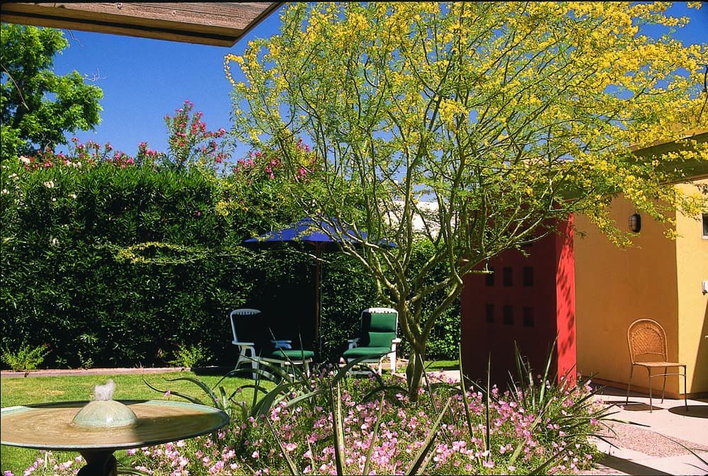 Various backyard landscaping with grass