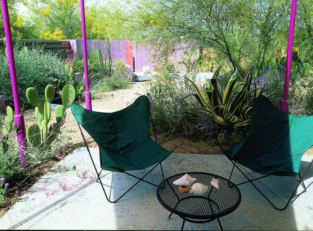 Backyard xeriscaping