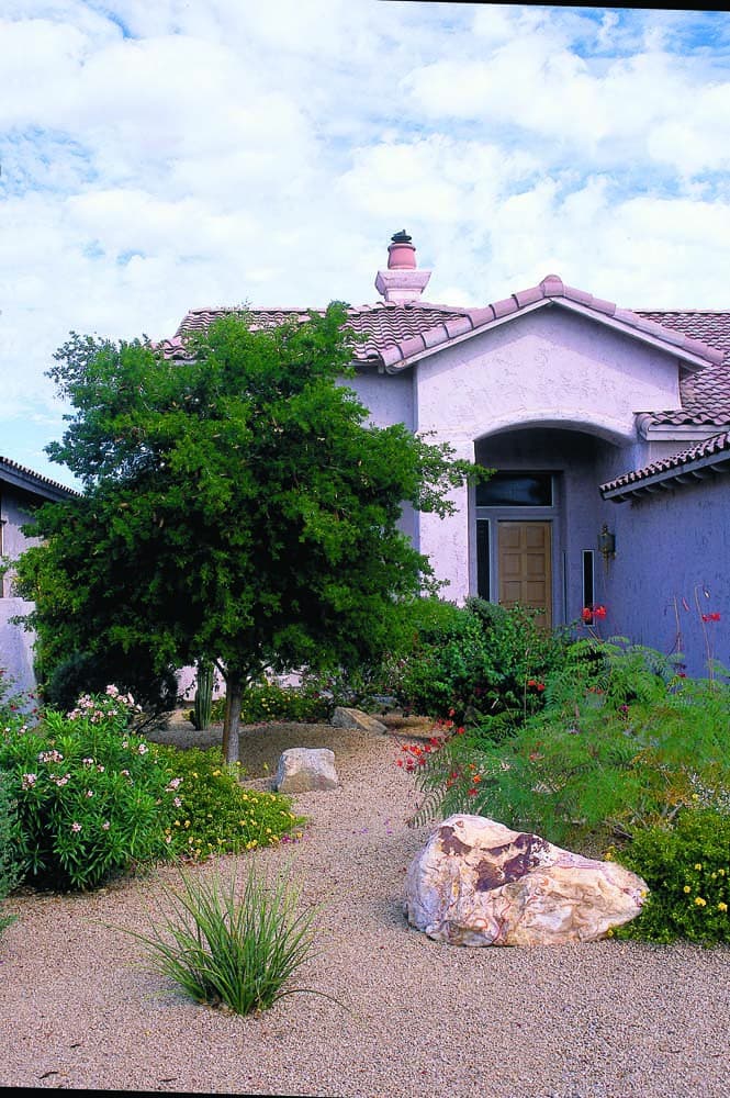 Front yard xeriscape 