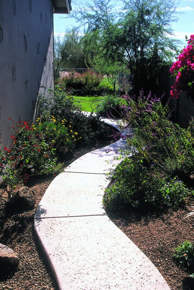 Xeriscape along walkway 