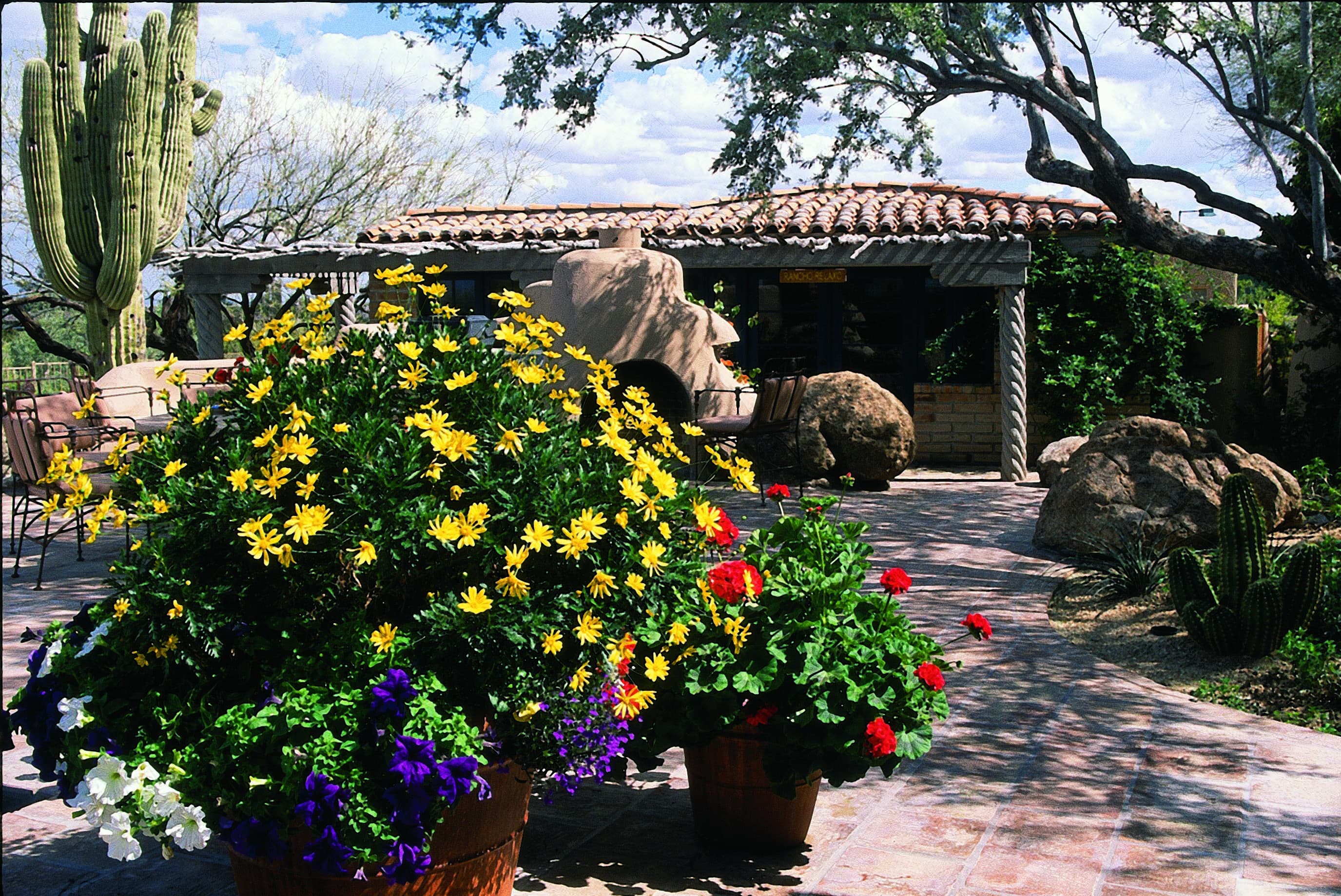 Flowers