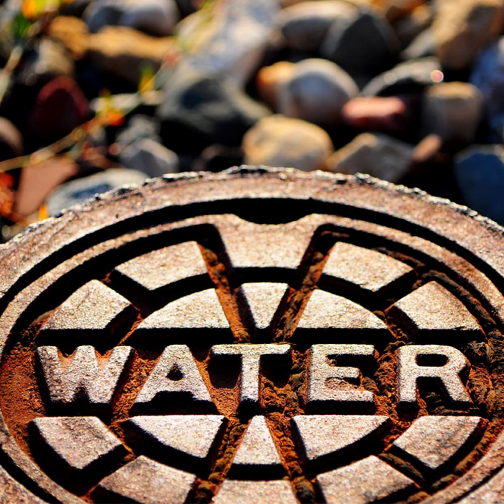 Blog Image Sample
