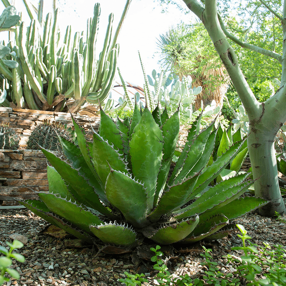 Blog Image Sample