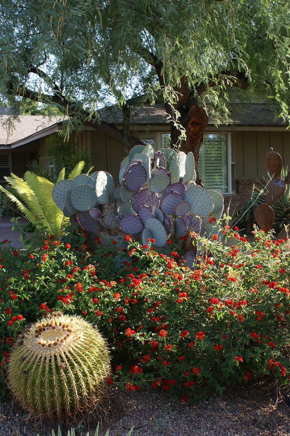 Assortment of plants