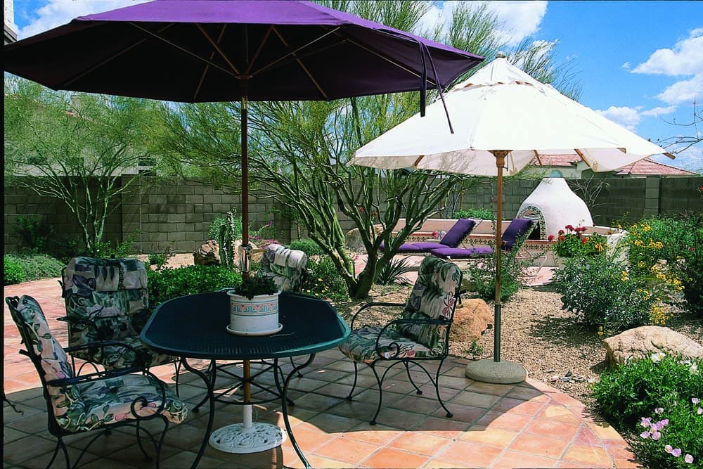 Backyard xeriscaping 