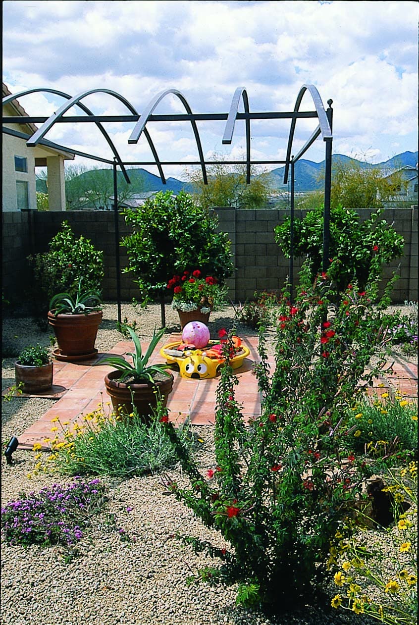 Citrus and desert plants 