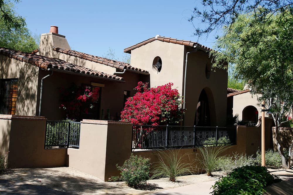 Desert plants with house in background
