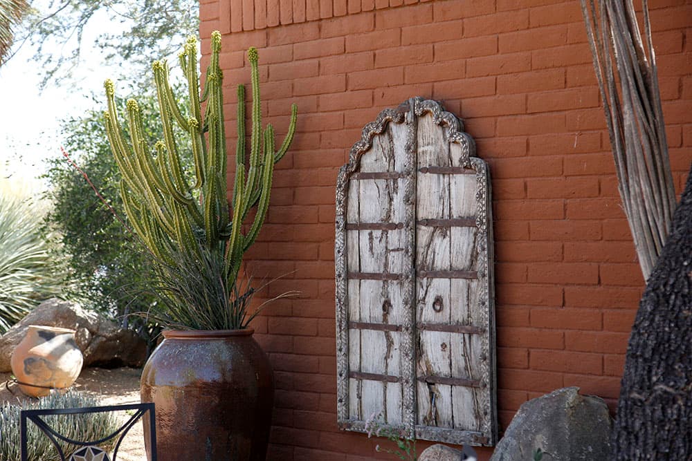 Plants along beautiful red wall 