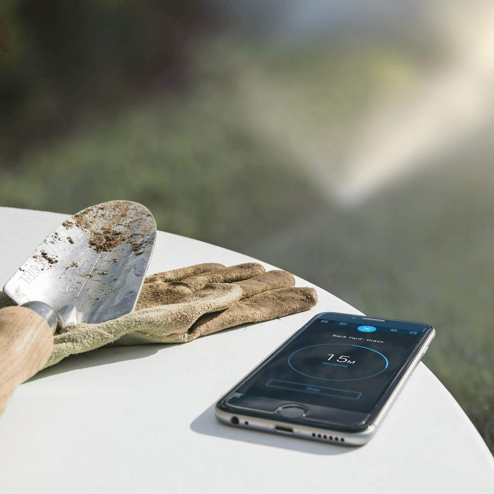 Blog Image Sample