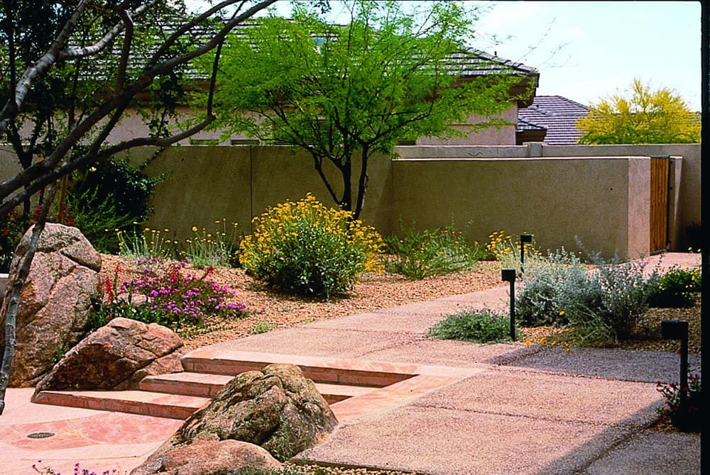 Various flowering shrubs 