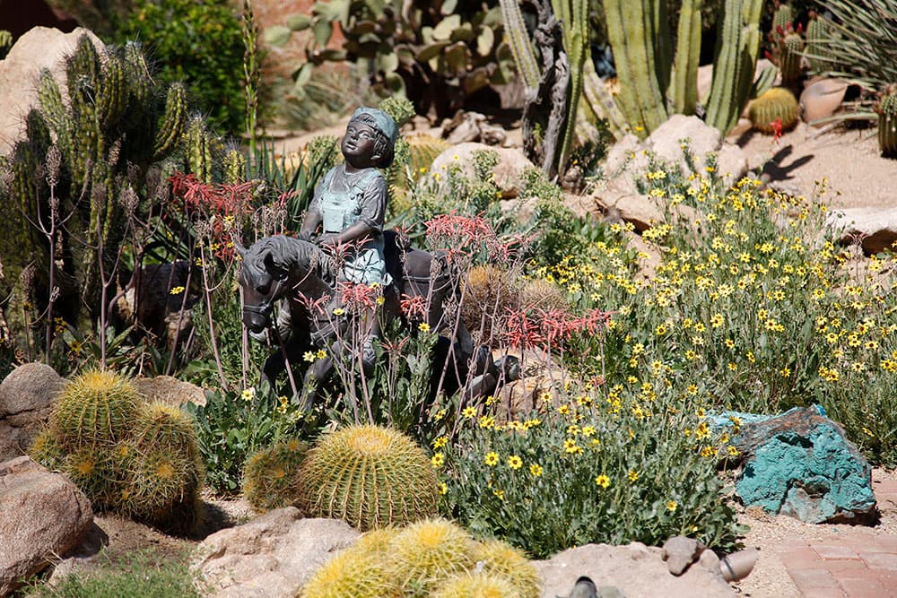Xeriscape with statue