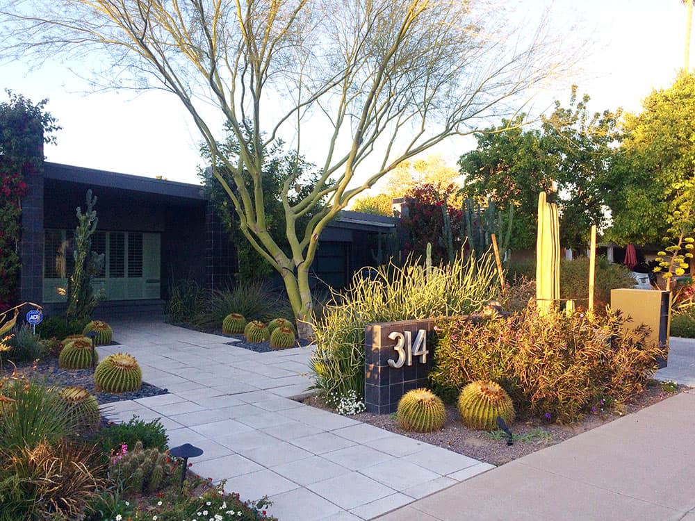 Xeriscape yard 