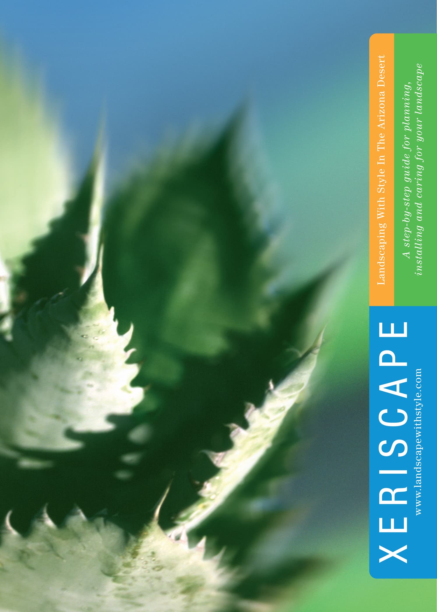 Xeriscape: Landscaping With Style in the Arizona Desert