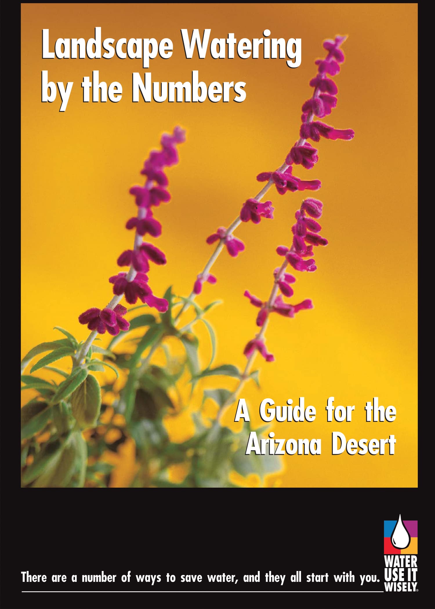 Landscape Watering by the Numbers