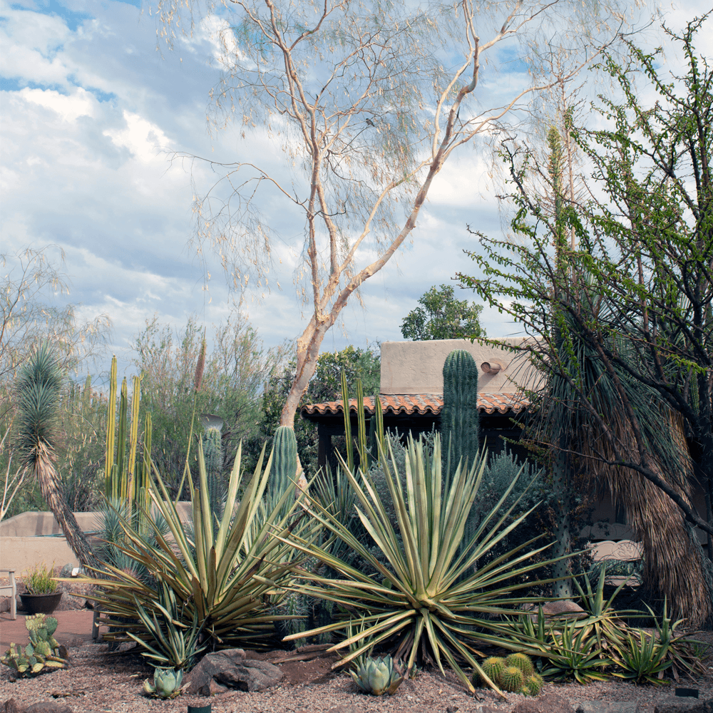 Blog Image Sample