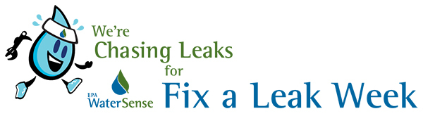 Falw Logo Chasing Leaks