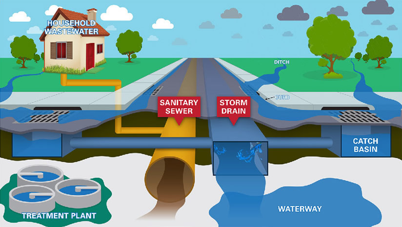 Storm drain vs sewer drain graphic