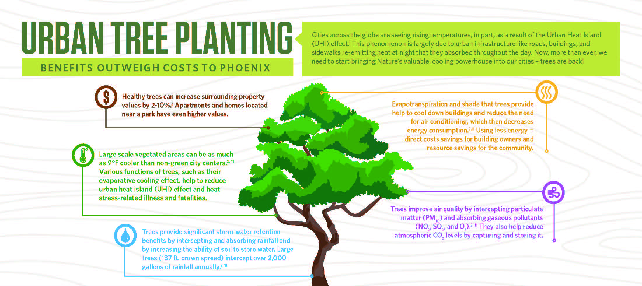 PKS Forestry Infographic Urban Forestry Benefits Costs Page 1