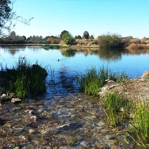 Gilbert Riparian Preserve at Water Ranch